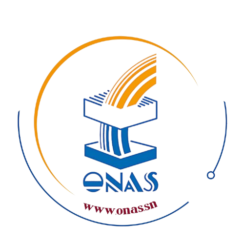 logo_onas-removebg-preview